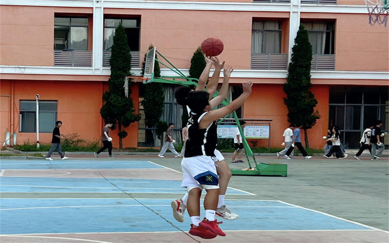 2023����챭������