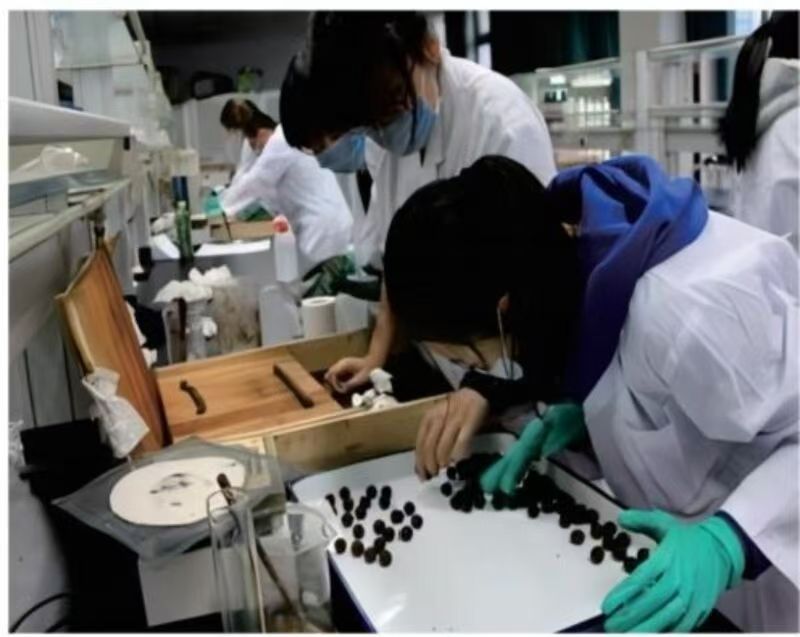 ����Ӫ���뱣��